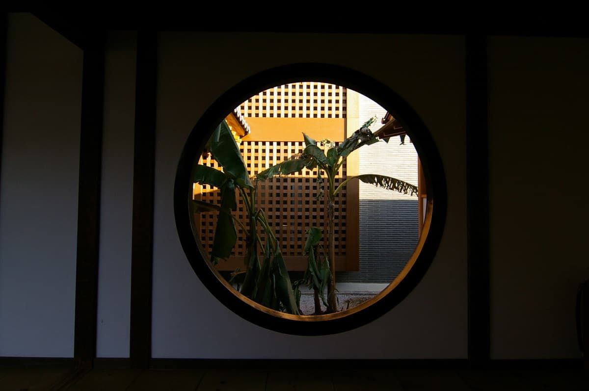 bind_photo_053.jpg